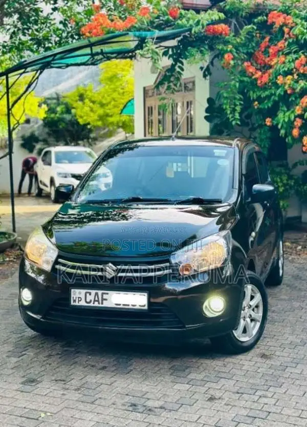 Suzuki Celerio Vxi 2015 Car (Used)