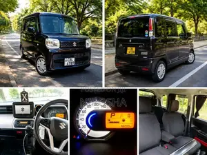 Suzuki Spacia 2019 Car (Used)