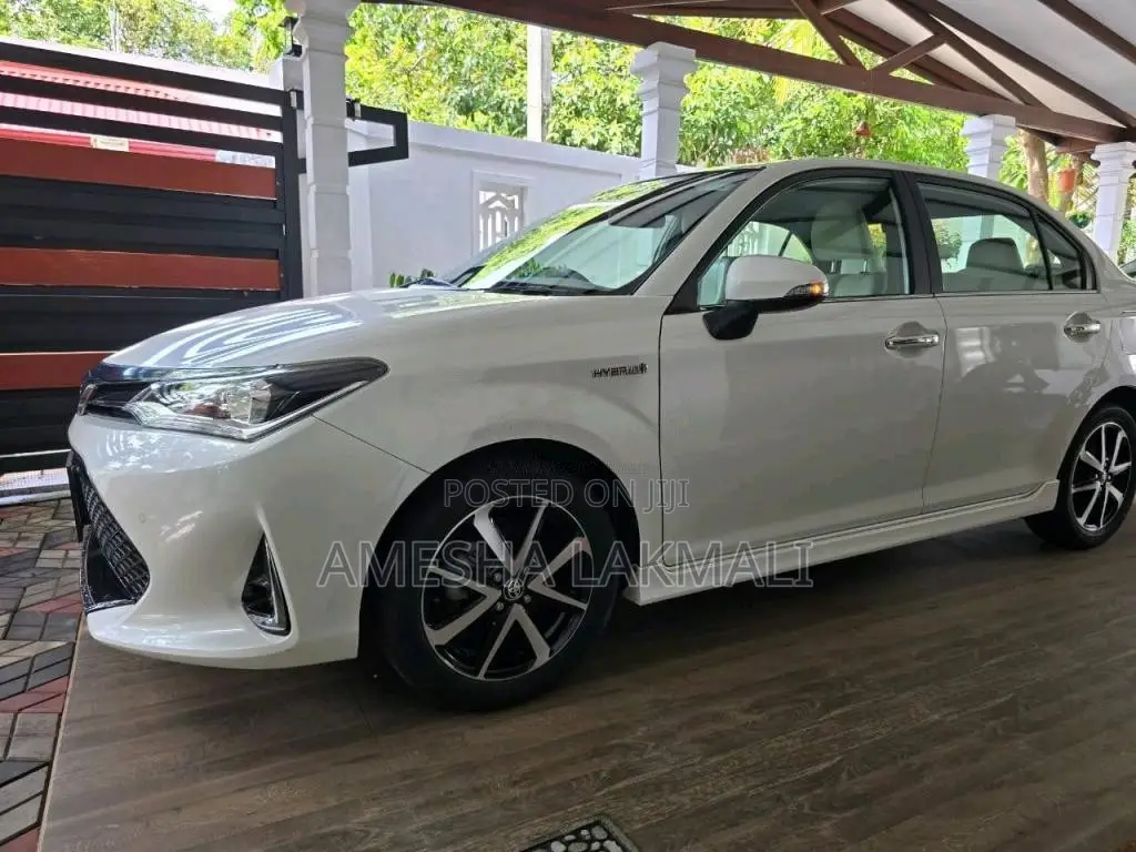 Toyota Axio 2018 Car (Used)