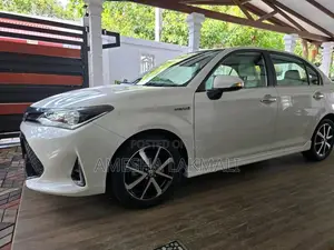 Toyota Axio 2018 Car (Used)
