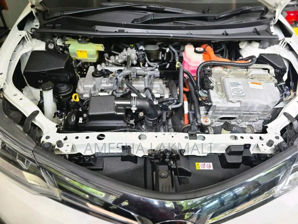 Toyota Axio 2018 Car (Used)