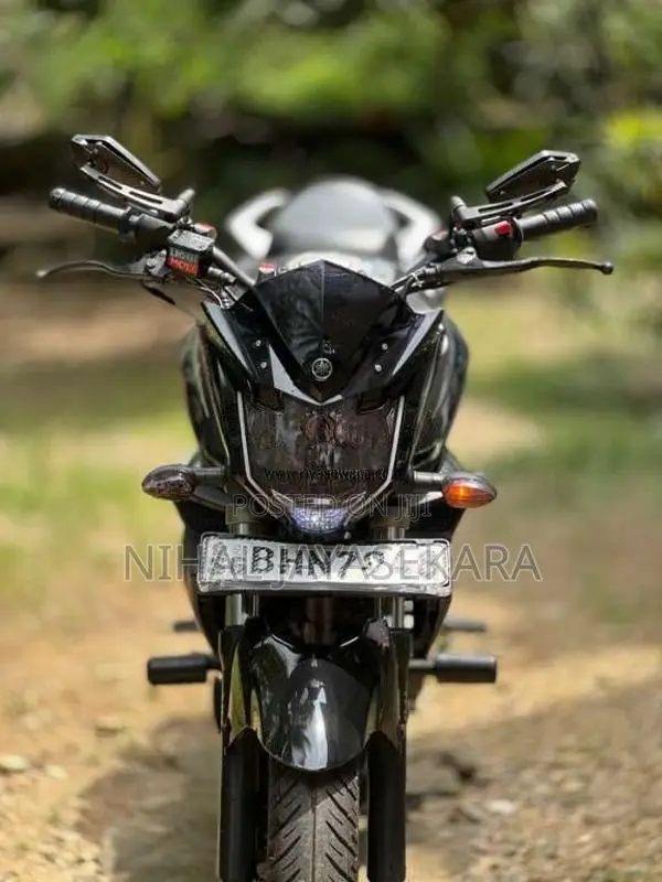 Yamaha FZ-S 2019 Motorbike (Used)
