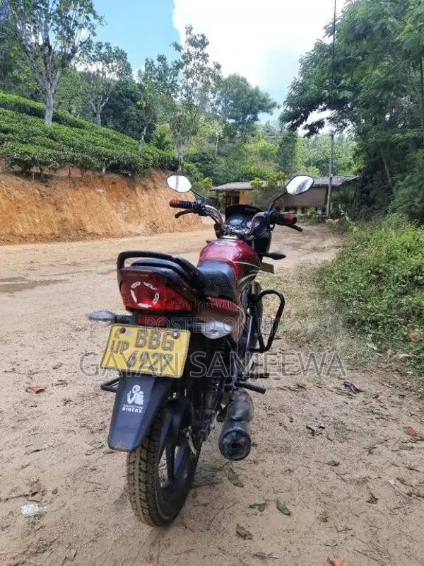 Honda 110 2014 Motorbike (Used)