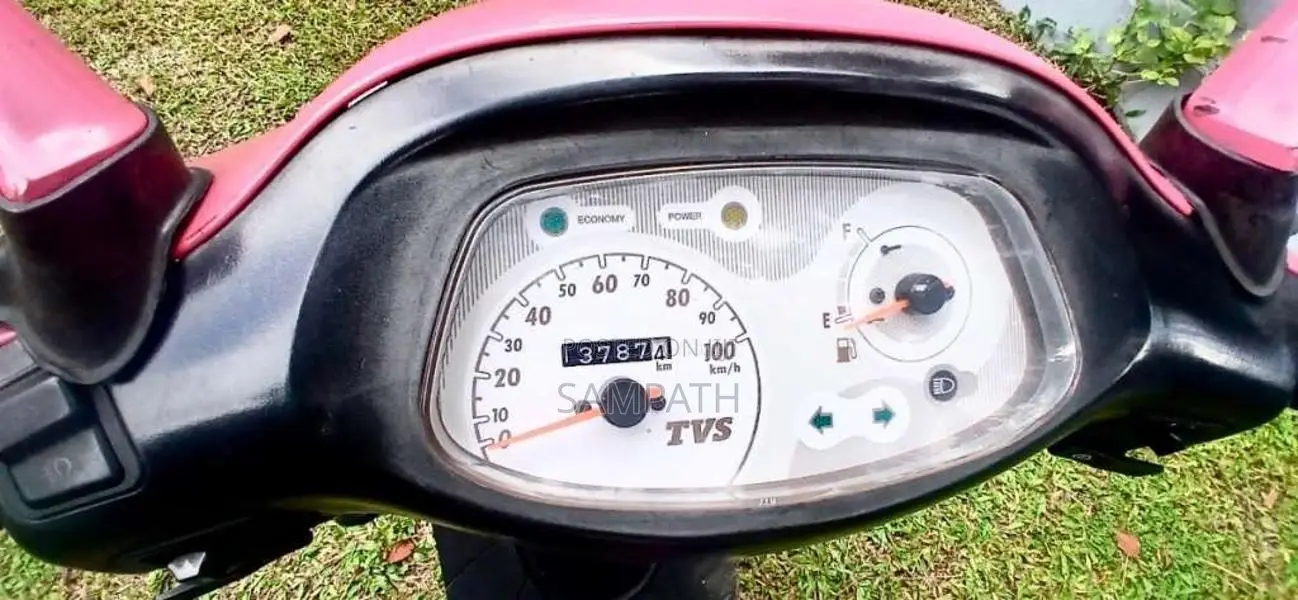 TVS Scooty Pep 2019 Motorbike (Used)
