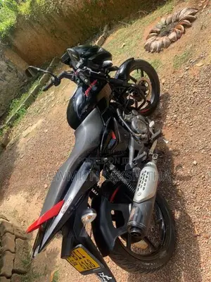 Bajaj Pulsar 2019 Motorbike (Used)