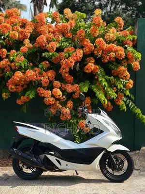 Honda PCX LED 2018 Motorbike (Used)