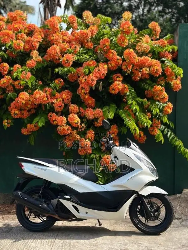 Honda PCX LED 2018 Motorbike (Used)