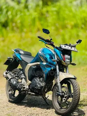 Yamaha FZ-S 2019 Motorbike (Used)