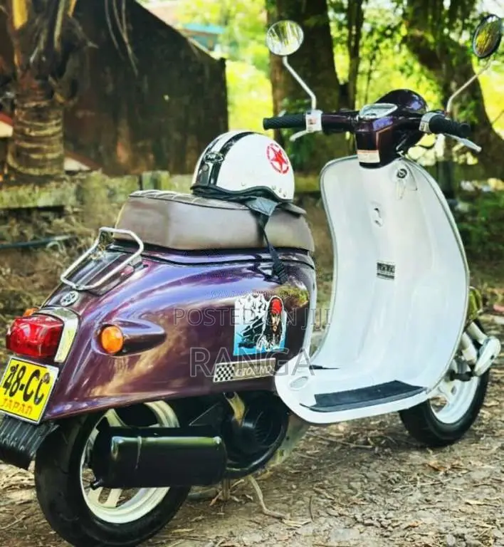 Honda 48. Scooter 2018 Motorbike (Used)