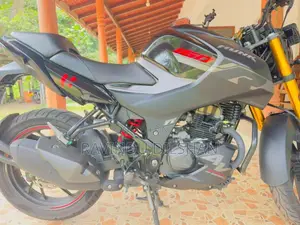 Hero Hunk 160R 4V 2025 Motorbike (Used)