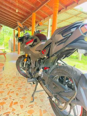 Hero Hunk 160R 4V 2025 Motorbike (Used)