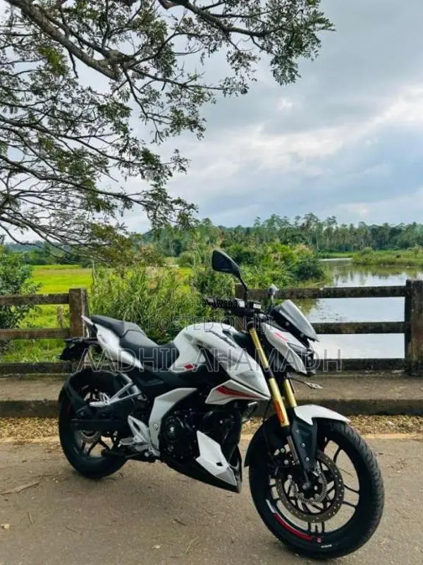 Bajaj Pulsar 2025 Motorbike (Used)