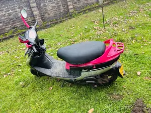 TVS Scooty Pep Plus 2019 Motorbike (Used)