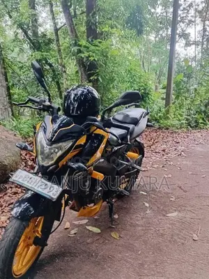Bajaj Pulsar NS200 2019 Motorbike (Used)