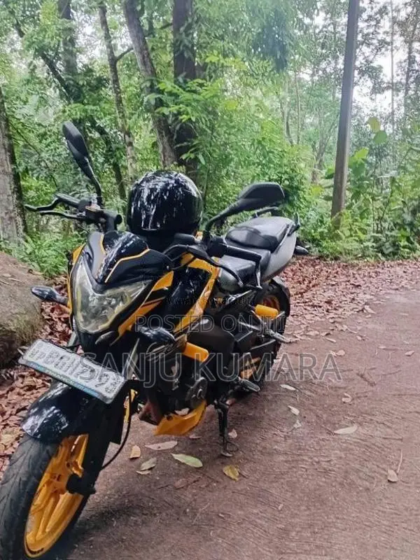 Bajaj Pulsar NS200 2019 Motorbike (Used)