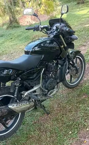 Bajaj Pulsar 150 2010 Motorbike (Used)