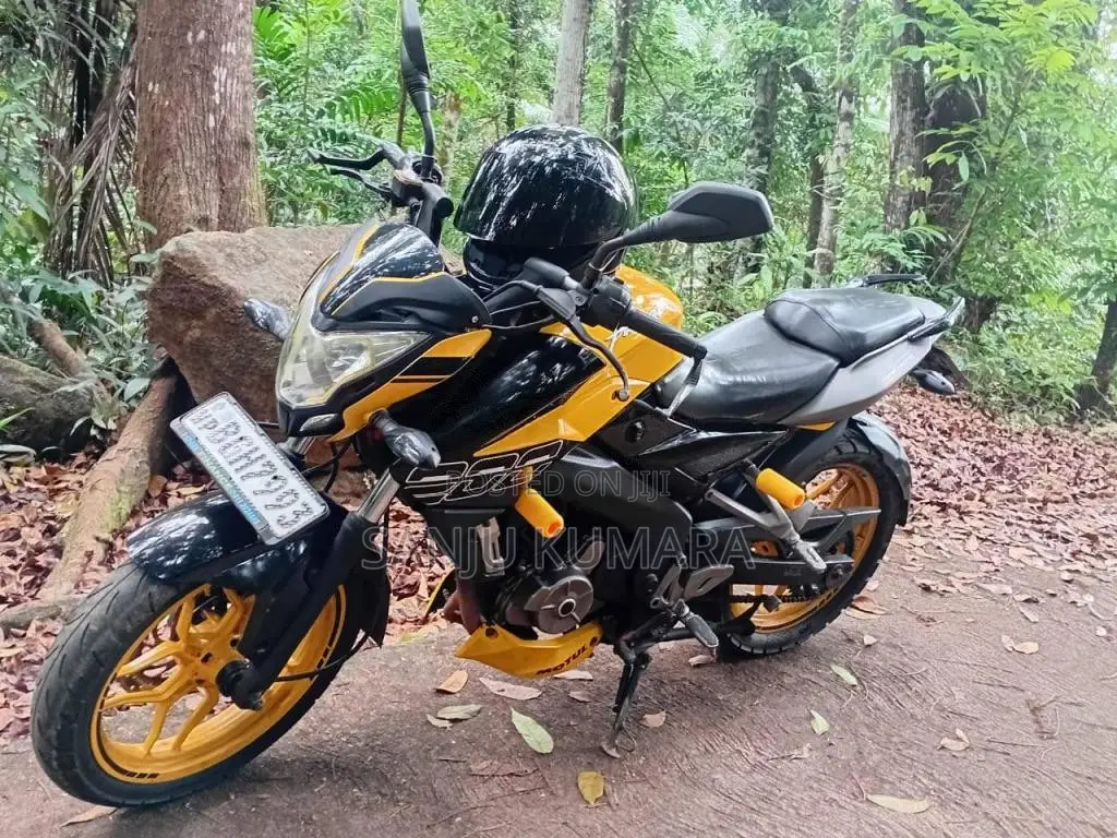 Bajaj Pulsar NS200 2019 Motorbike (Used)