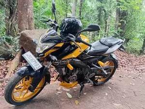 Bajaj Pulsar NS200 2019 Motorbike (Used)