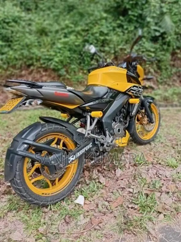 Bajaj Pulsar NS200 2019 Motorbike (Used)