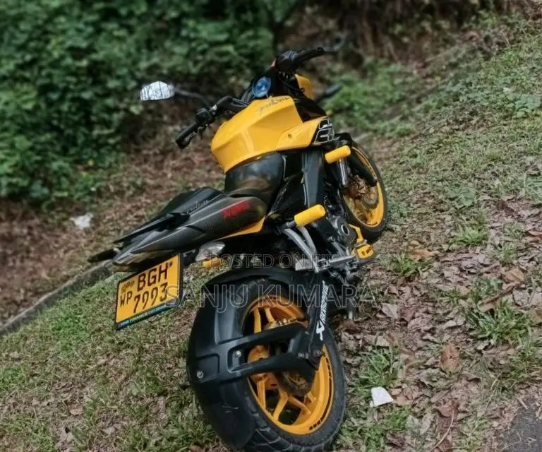Bajaj Pulsar NS200 2019 Motorbike (Used)