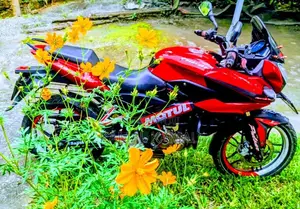 Bajaj Pulsar 150 2016 Motorbike (Used)