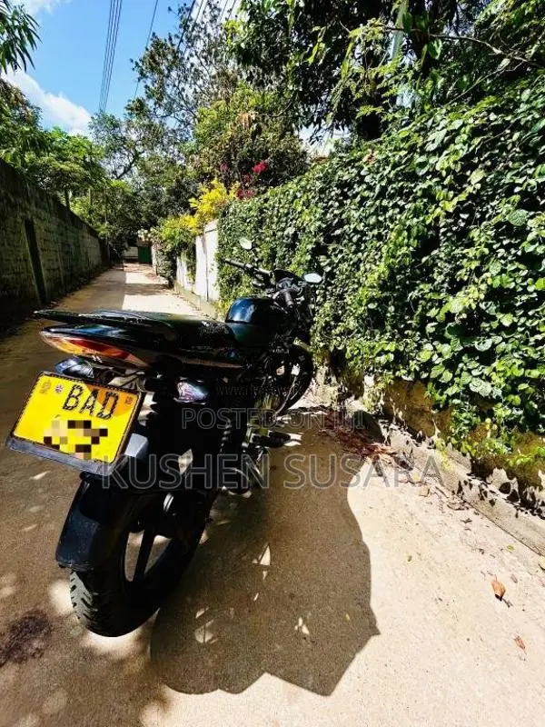 Bajaj Pulsar 2013 Motorbike (Used)