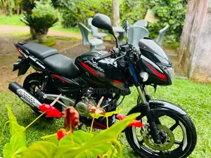 Bajaj Pulsar 2016 Motorbike (Used)