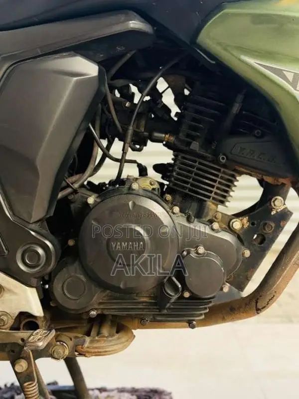 Yamaha FZ-S 2019 Motorbike (Used)