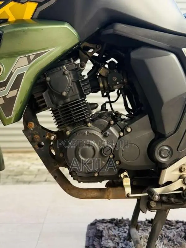 Yamaha FZ-S 2019 Motorbike (Used)