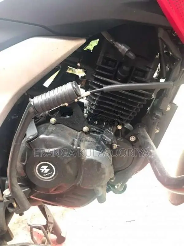 Bajaj Pulsar N125 2025 Motorbike (Used)
