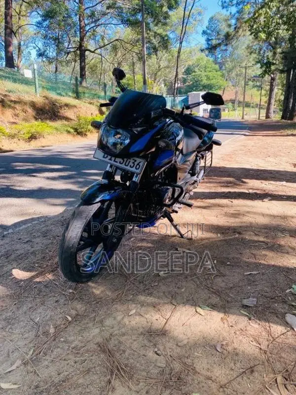 Bajaj Pulsar 150 2019 Motorbike (Used)