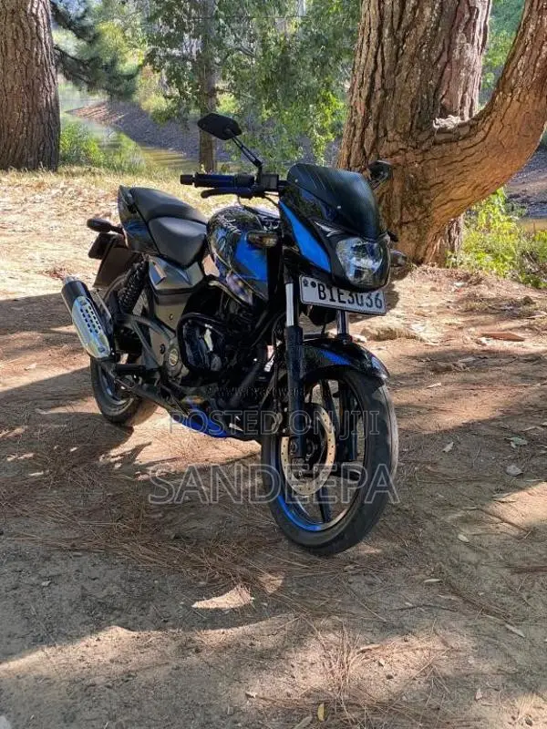 Bajaj Pulsar 150 2019 Motorbike (Used)