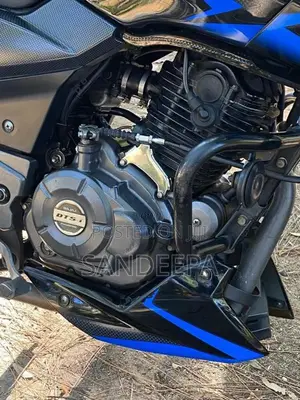 Bajaj Pulsar 150 2019 Motorbike (Used)