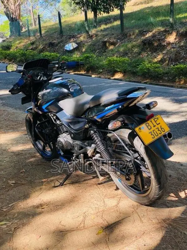 Bajaj Pulsar 150 2019 Motorbike (Used)