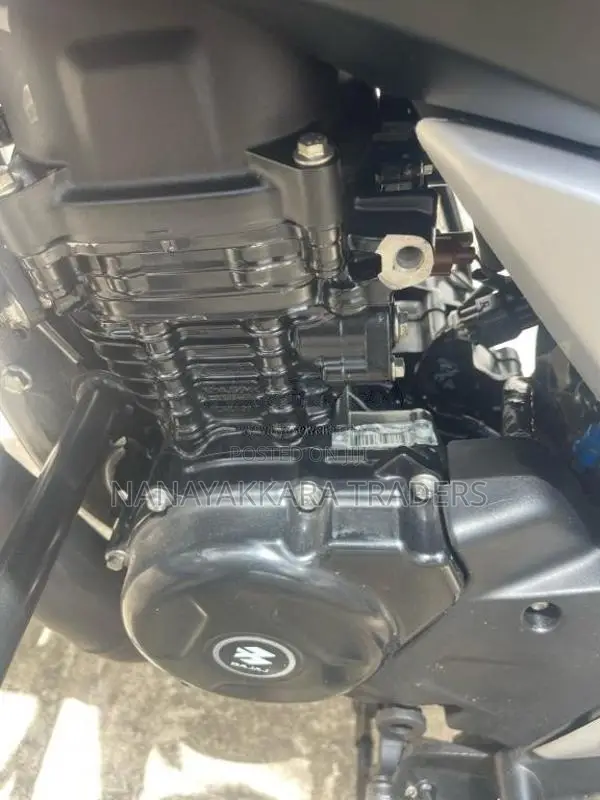 Bajaj Pulsar N125 2025 Motorbike (Used)