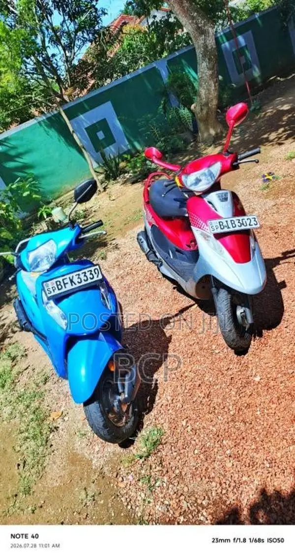 TVS Scooty Pep Plus 2019 Motorbike (Used)