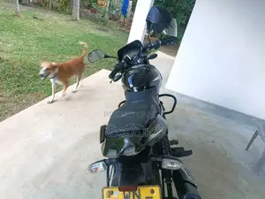 Bajaj Pulsar 2013 Motorbike (Used)
