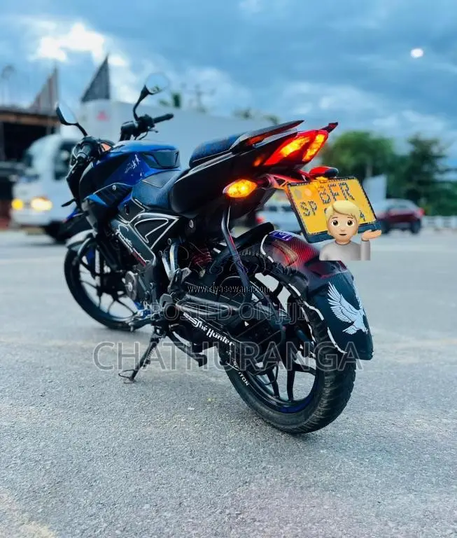 Bajaj Pulsar NS160 2017 Motorbike (Used)
