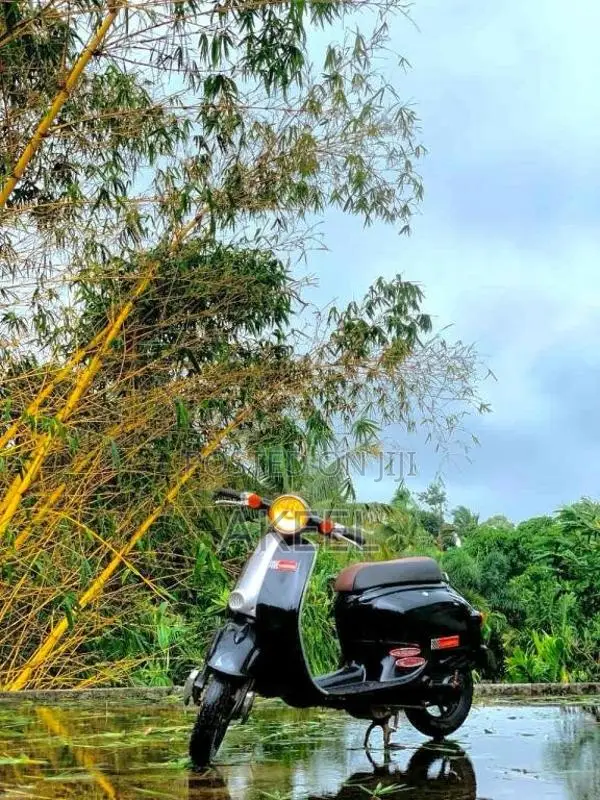 Honda Giorno 2010 Motorbike (Used)