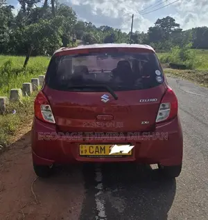 Suzuki Celerio Zxi 2015 Car (Used)