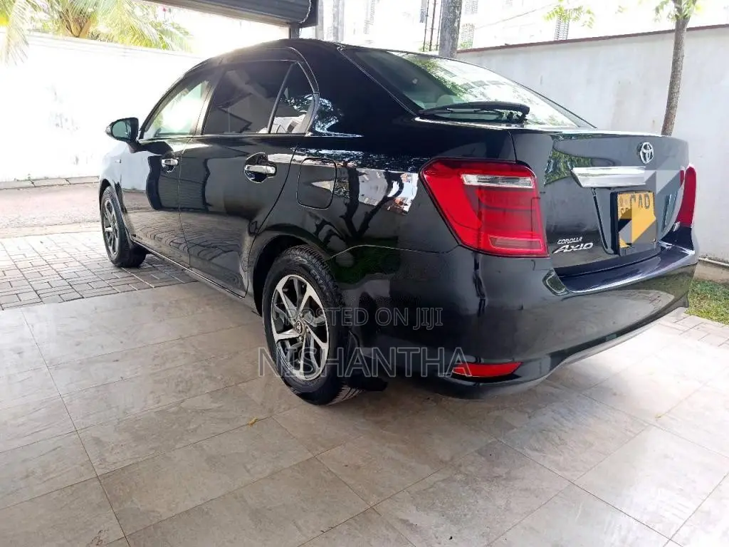Toyota Axio 2016 Car (Used)