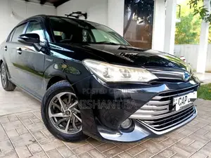 Toyota Axio 2016 Car (Used)