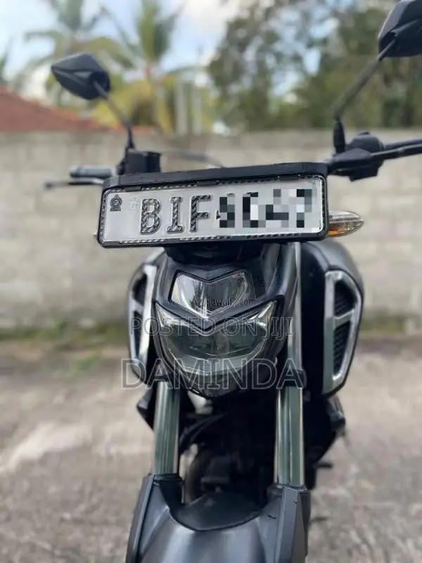 Yamaha FZ-s Version 3.0 2019 Motorbike (Used)