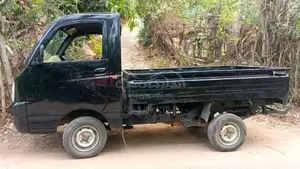 Mahindra Maxximo Plus 2013 Lorry (Used)