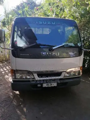 Isuzu ELF 1987 Crew Cab (Used)
