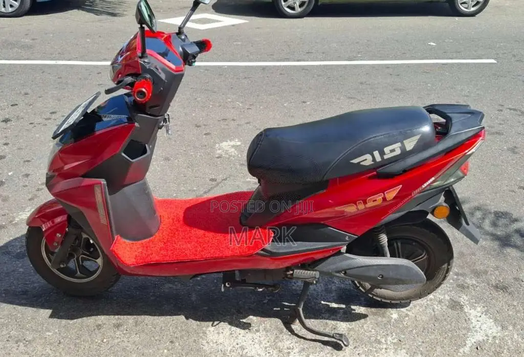 Other RISE LEADER ELECTRIC Scooter 2024 Motorbike (Used)