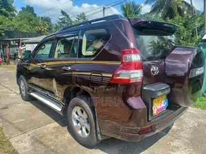 Toyota Prado 2010 SUV (Used)
