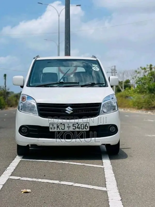 Suzuki Wagon R 2010 Car (Used)