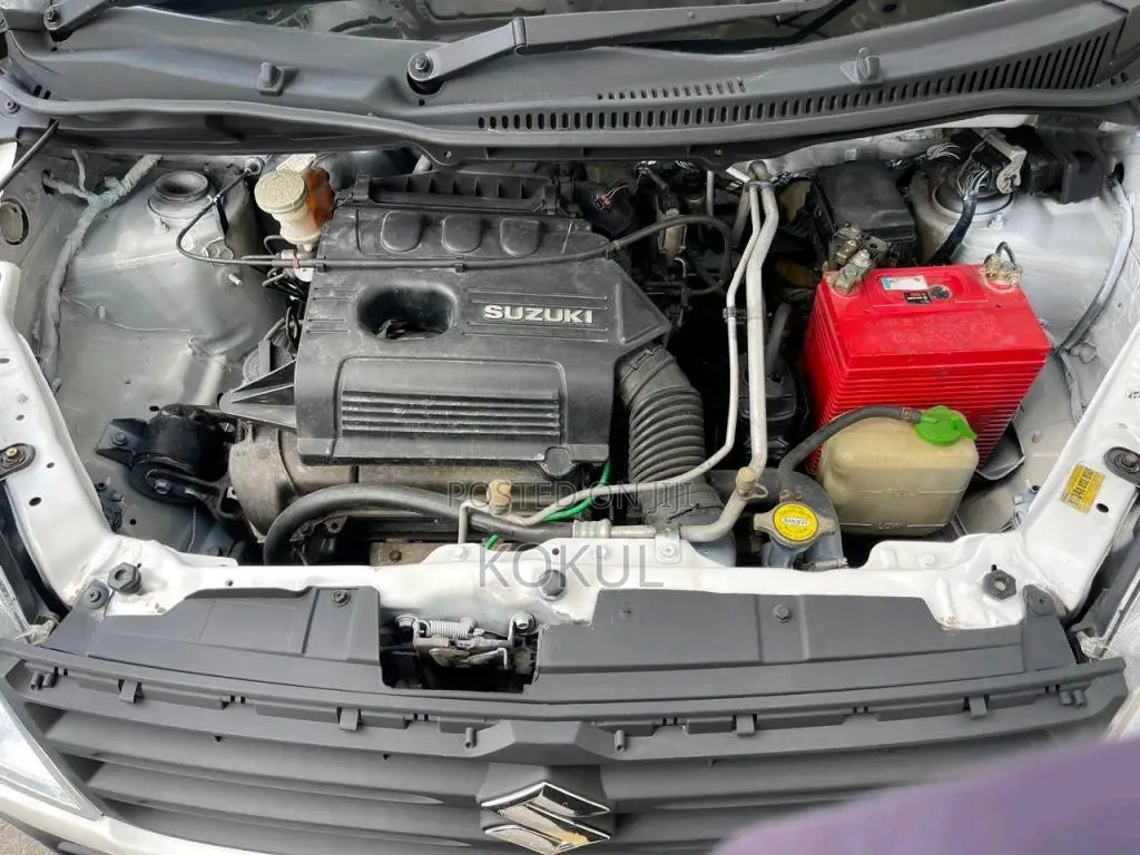 Suzuki Wagon R 2010 Car (Used)
