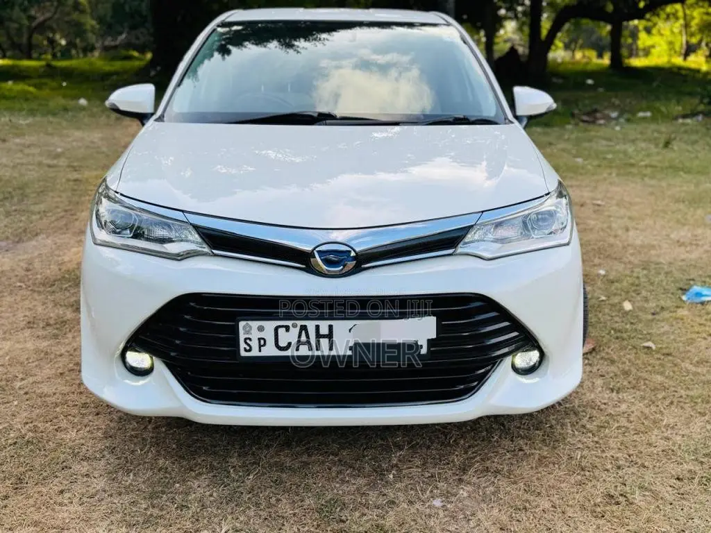 Toyota Axio G Safety 2015 Car (Used)